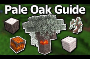 he thong block moi da dang phuc vu ca xay dung va kham pha