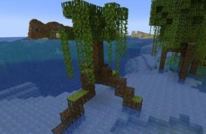 mangrove swamp voi cay duoc re cay va moi truong dam lay dac trung