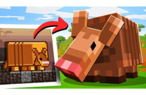 armadillo trong moi truong savanna