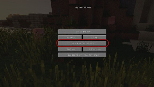 bat tuy chon activate cheats trong phan cai dat world