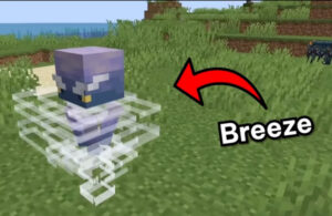 sinh vat breeze voi hieu ung gio dac trung